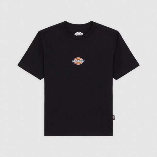 Dickies Majice & Polo majice MAPLE VALLEY REG TEE Črna Cene