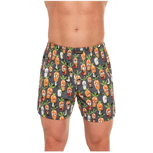 Cornette Men's shorts Classic multicolored (001/129)