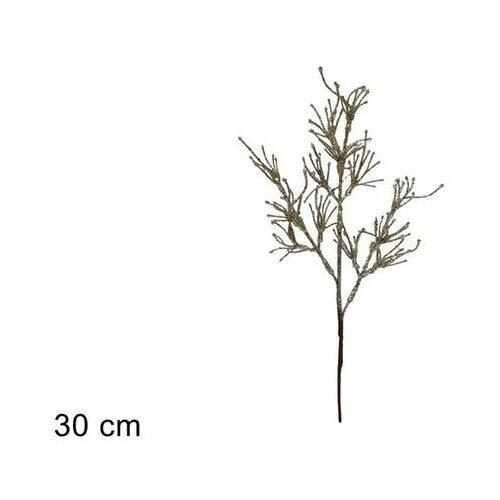 Dekorativna GRANA 30 CM CHAMPAGNE Cijene