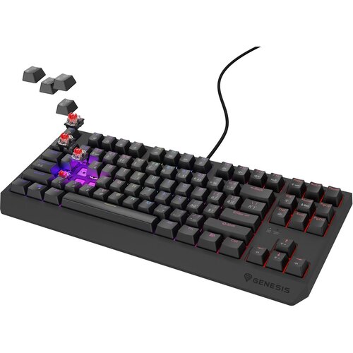 Genesis Thor 230 TKL keyboard Gaming USB QWERTY Czech, Slovakian Black Cijene