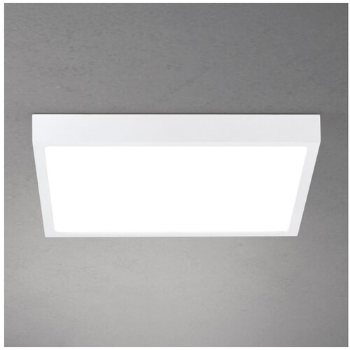 Orion LED stropno svetlo DISC (prigu&scaron;iva) LED/30W/230V 2700/3000/4000K 39x39 cm belo Cene
