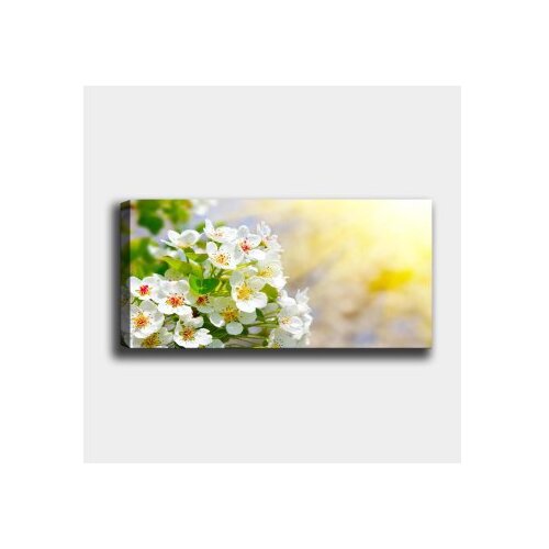 WALLXPERT Dekorativna slika na platnu, 30x80cm, &Scaron;areno Cijene