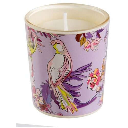 Goldbuch mirisna svijeća Turnowsky Insignia, aroma English Roses Cijene