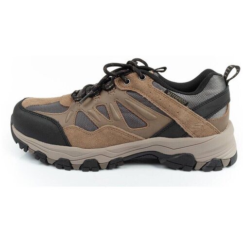 Skechers Pohodništvo Enago pisana Cene