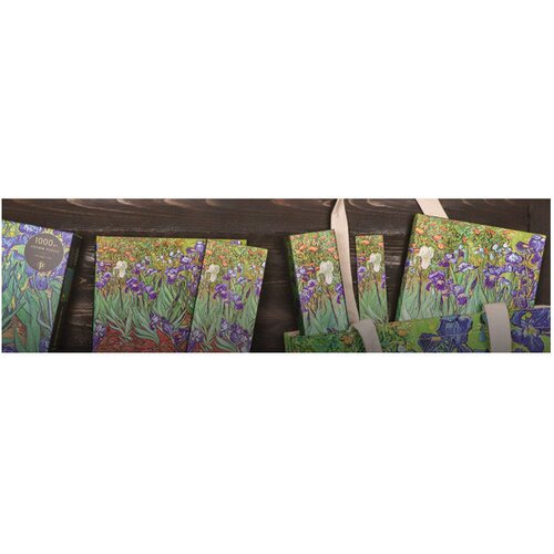  NOTES 13X18CM-MIDI CRTE 72L S GUMICOM VAN GOGH IRISES PAPERBLANKS PB8204-0 Slike