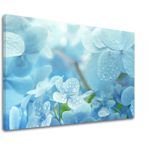  Slike  na platnu plavo  cveće152-11 (moderne slike na platnu) Cene