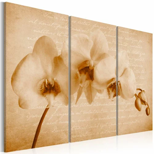  Slika - orchid (vintage) 120x80