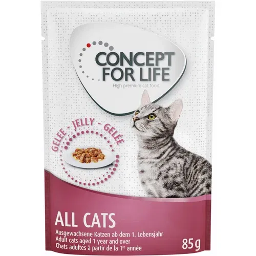 Concept for Life All Cats - izboljšana receptura! - Kot dopolnilo: 12 x 85 g All Cats v želeju