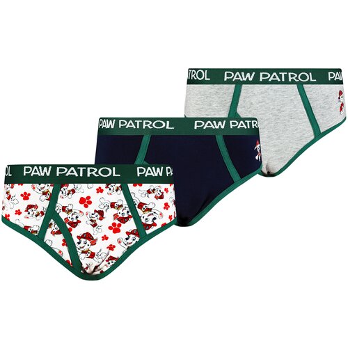 Licensed Boys briefs Paw Patrol 3P Frogies Slike