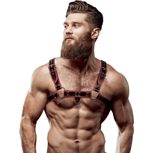 Fetish Submissive Attitude Oprtnik Eco Leather 2 Cene