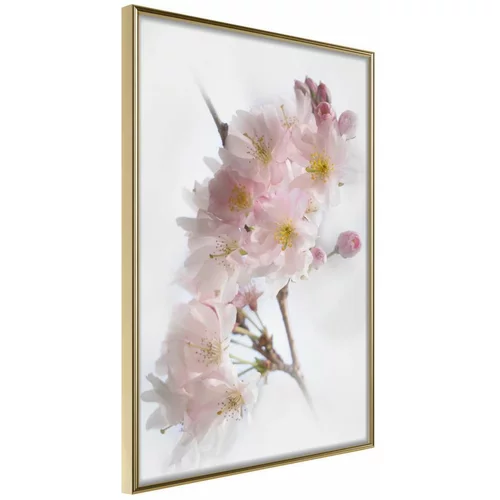  Poster - Scent of Spring 30x45