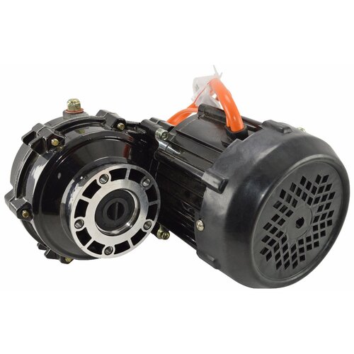  Motor 100W60V za elektro tricikl infinity Cene