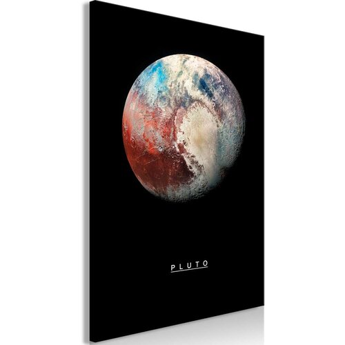  Slika - Pluto (1 Part) Vertical 40x60 Cijene