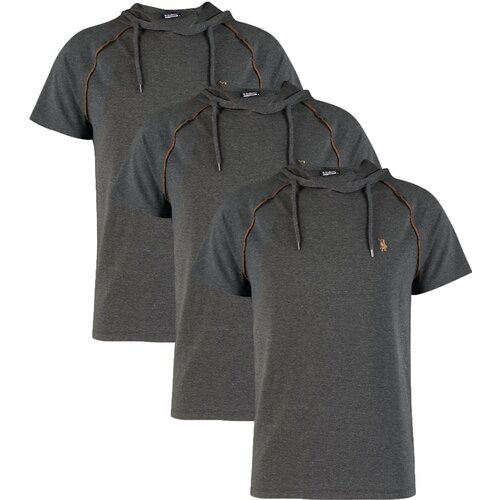 Dewberry TRIPLE SET T8570 HOODED MEN'S T-SHIRT-ANTHRACITE-ANTHRACITE-ANTHRACITE Cijene