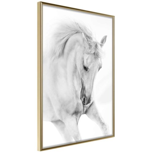  Poster - Beauty in Motion 30x45 Cijene