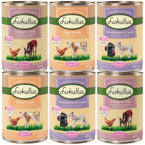 Lukullus Junior mešano poskusno pakiranje - Miks 2: 6 x 400 g Cene