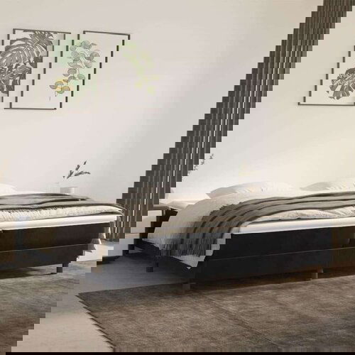  S oprugama i madracem crni 200x200 cm baršunasti Cijene
