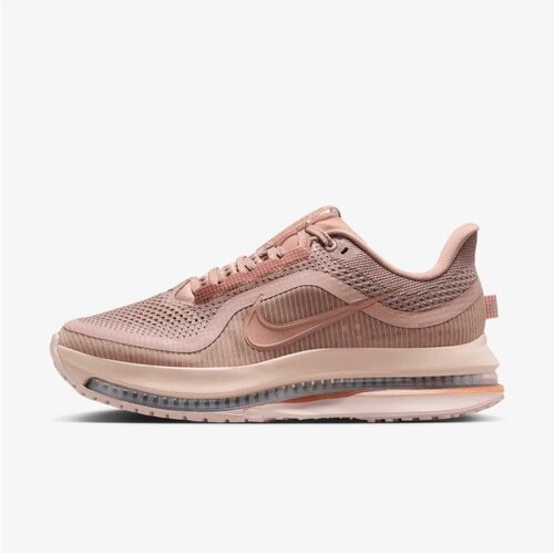 Nike W pegasus premium Cene