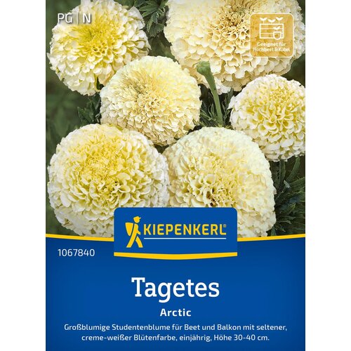 KIEPENKERL Žametnica "Arctic" - 1 pkt. Cene