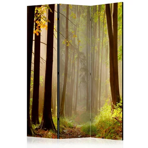  Paravan u 3 dijela - Mysterious forest path [Room Dividers] 135x172