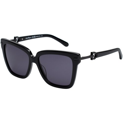 Salvatore Ferragamo SF1085S-001 Crna Slike