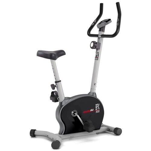 Sobni bicikl Everfit BFK 300 Cijene