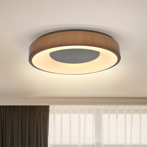  Brilagi - LED plafonsko svetlo DORIA LED/24W/230V Slike