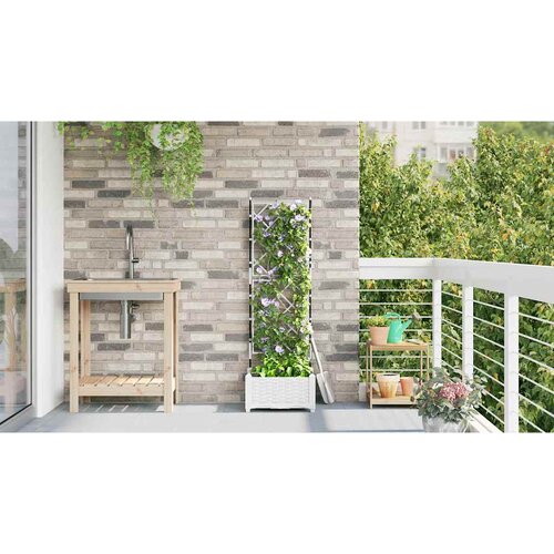  Vrtna saksija Bijeli 40 x 40 x 125,5 cm Plastika Slike