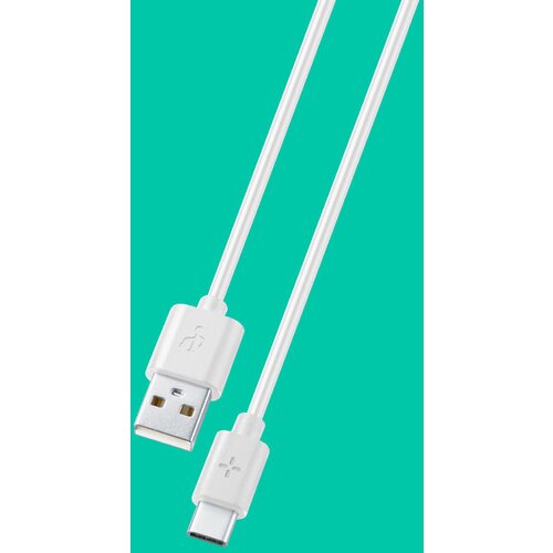 Cellular Line ploos usb-c, 1m, bel kabel, (21742202) Slike