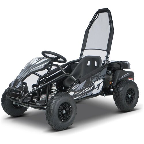Beneo Dječji benzinski gokart Buggy RSX 98 cm&sup3;, 30 km/h, crni Cene
