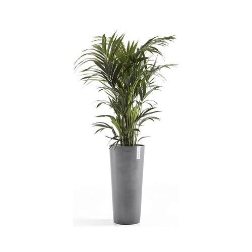 Ecopots Amsterdam High - siva Cene