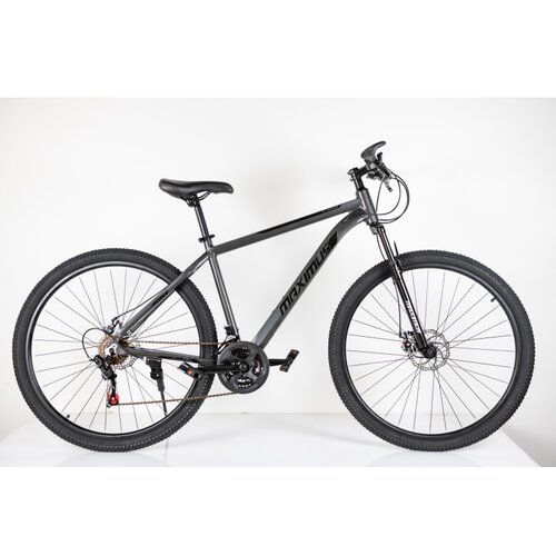 Winner Bike bicikla 29"/21 maximus grey ( BCK0953 ) Cene