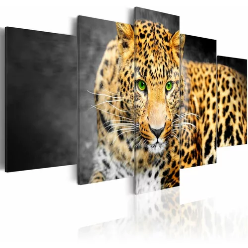  Slika - Green-eyed leopard 200x100