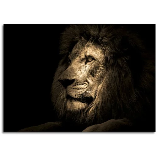 Styler Steklena slika Styler Lion, 70 x 100 cm
