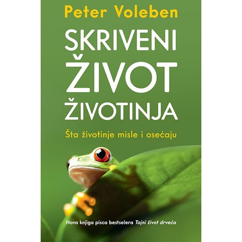 Laguna Skriveni život životinja Slike