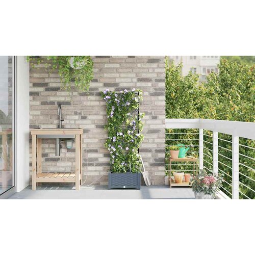  Vrtna saksija Svijetlo siva 40 x 40 x 126 cm Plastika Slike