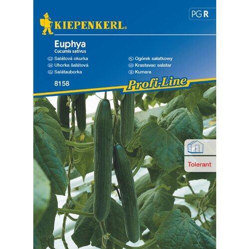 KIEPENKERL Sjeme povrća krastavac Euphya (Cucumis sativus, Berba: Srpanj - Listopad) Cijene