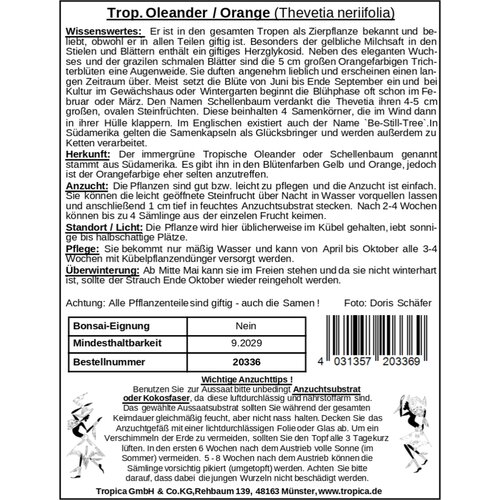 TROPICA Rumeni oleander - 4 zrn. Cene