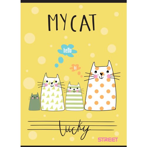 STREET Zvezek My Cat A4 mali karo Cene