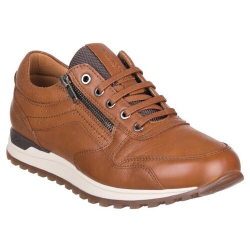 Kangaroos SNEAKERS 588 Smeđa Slike