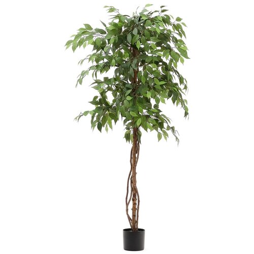 Kave Home Umetni fikus (višina 180 cm) Ficus – Cene