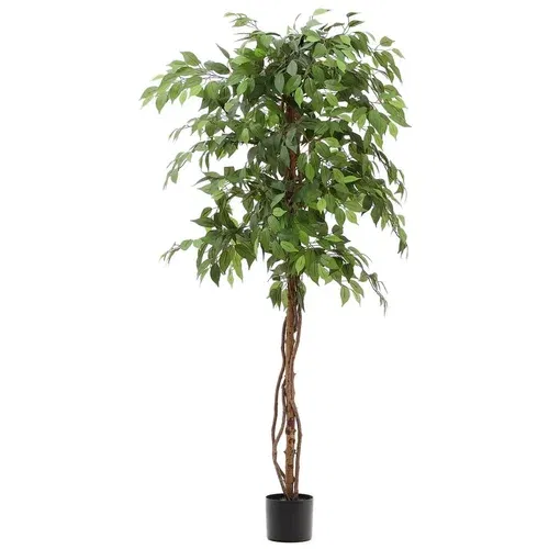 Kave Home Umetni fikus (višina 180 cm) Ficus –