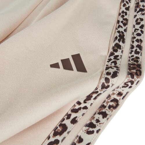 Adidas Spodnji deli trenirke ANIMAL Joggers Bež Slike