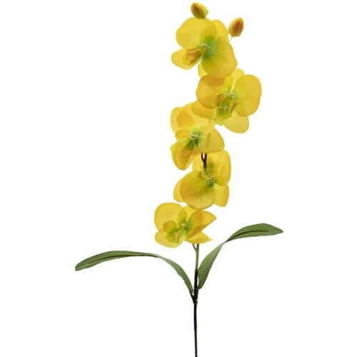 Di.Mo veštački cvet orhideja 74cm, žuta Slike