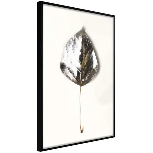  Poster - Silvery Leaf 30x45