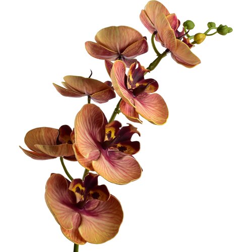 Mondex cvet umetni Viridis Storczyk 85cm bela 1 kos, (5000329494) Cene