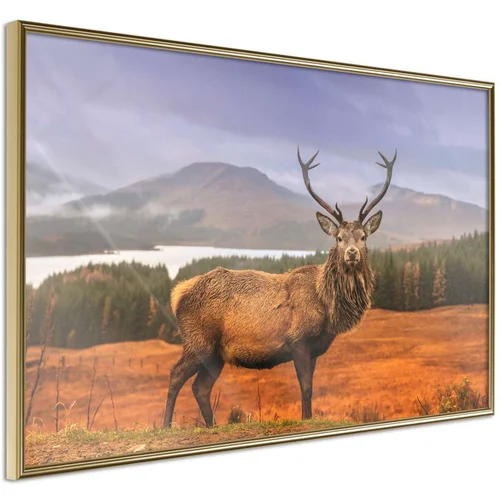  Poster - Majestic Deer 60x40