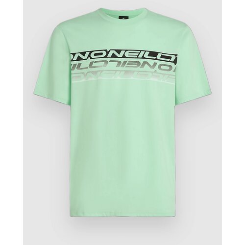 O'neill Stripe T-shirt mildrew mint Cene