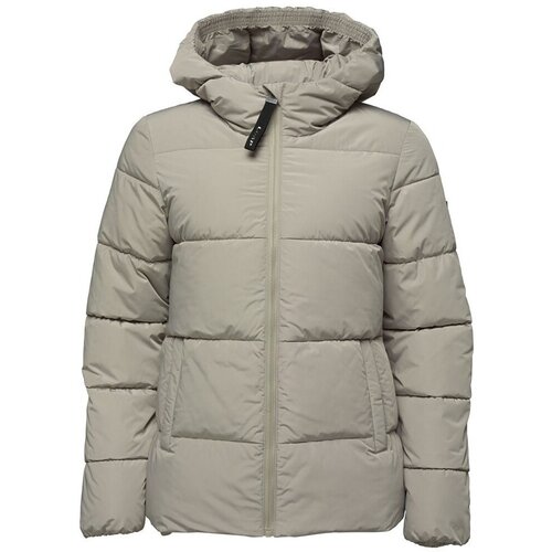 LOAP Puhovke Tadarida Siva Cene