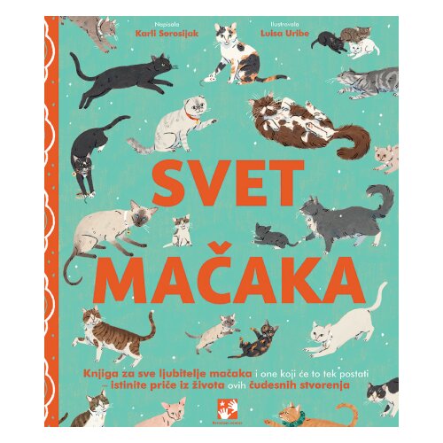 Kreativni Centar Svet mačaka Slike